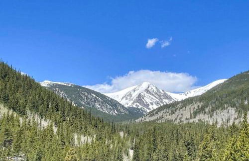 2 Mi to St Marys Glacier Modern Cabin with Hot Tub - Foto 38
