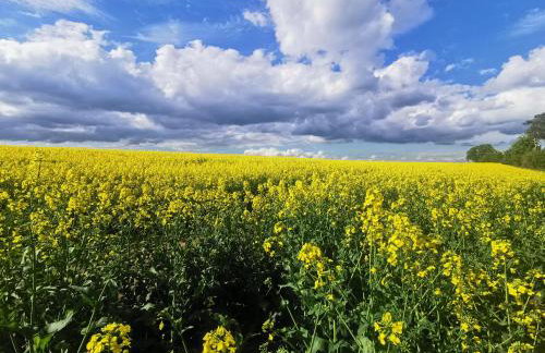 Przystan Ramotowo - Foto 13