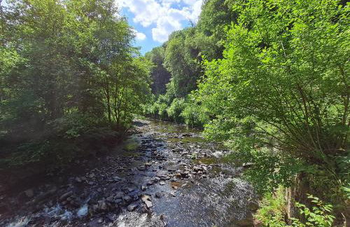 Ferienhaus Dröfter Blick - Foto 49