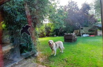 Ferienhaus Feuer Wasser Luft Erde - Foto 7