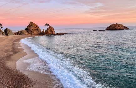 Thelma house Tossa - Photo 16