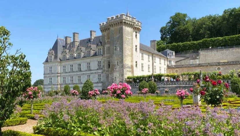Chateaux de Villandry & Azay-le-Rideau Tour - Foto 3