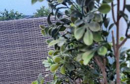 Mar e Praia de Baltar, Sanxenxo,Portonovo - Foto 12