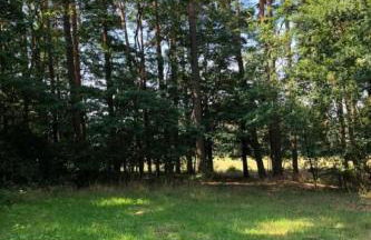 Holiday Home - Uns lütt Hüsung by Interhome - Foto 18