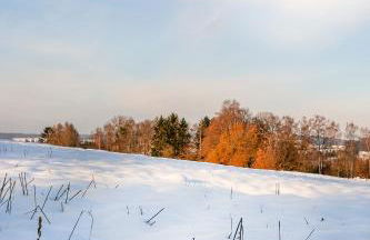 Kobaltblau - Foto 25