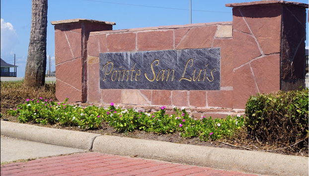 A View to Remember by Ryson Vacation Rentals - Foto 3, Servicios del alojamiento