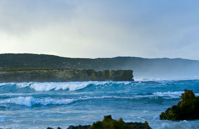 Hanson Bay Wildlife Sanctuary and Cabins - Photo 23