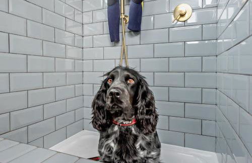 3 Bed in Aberarth 88788 - Foto 25