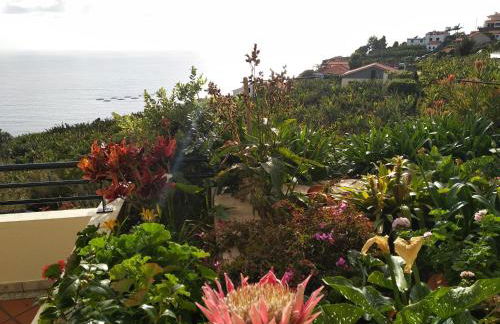 Jardim do Arco "Esmee" - Foto 46