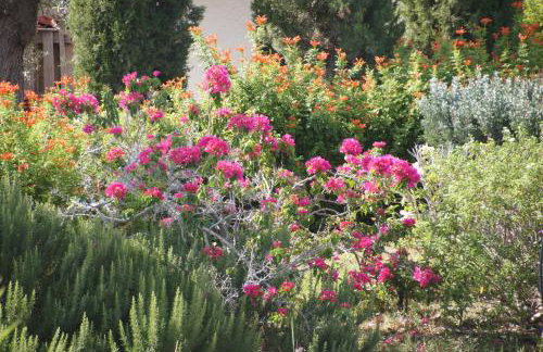 Villa Desiree - Foto 52