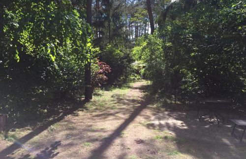 Wald und Wohlsein - Foto 17