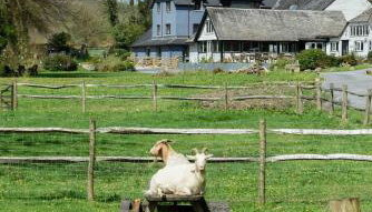 Bench Tor Apartment - Foto 2