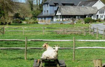 Bench Tor Apartment - Foto 2