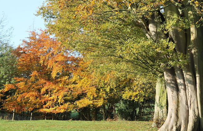 Colston Hall Cottages - Foto 40