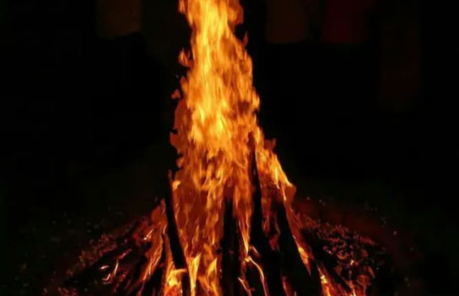 Guleria villa - Foto 16