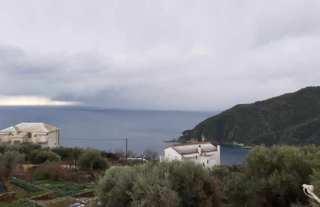 Olive Tree Apartment - Foto 75