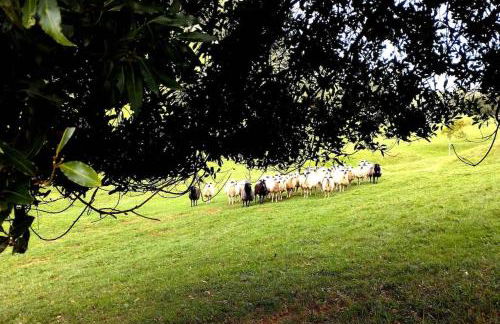 PequeñoCabárceno - Foto 32