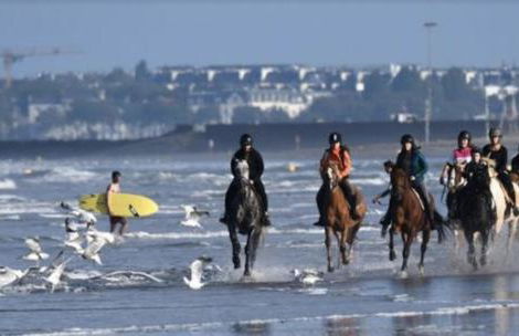 Les échappées belles de l'Océan - Foto 23