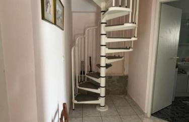 Lemon Tree - Photo 9