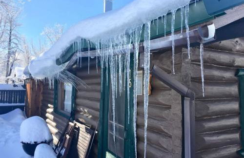 Wild Bills Cabin - Foto 5