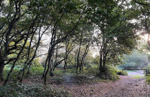 Ashbourne Cottage - Foto 70