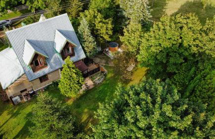 Rzeka i las - Photo 43