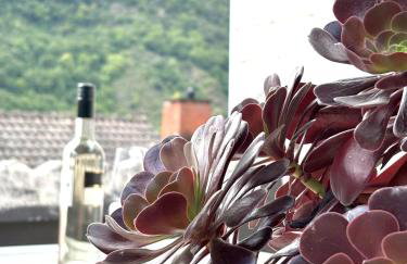 Gartenstudio Anila - Foto 27
