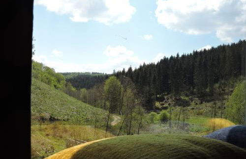 Seveniger Mühle - Foto 34