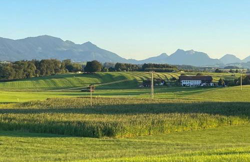 Asbichlerhof - Foto 2