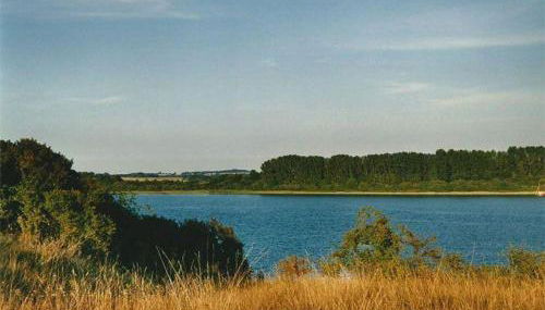 Ferienhaus-Spatzenvilla - Foto 2