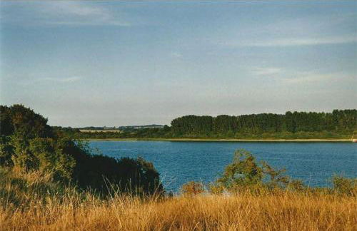 Ferienhaus Spatzenvilla - Foto 2