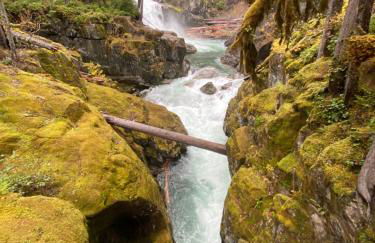 Elk Lodge - Photo 56