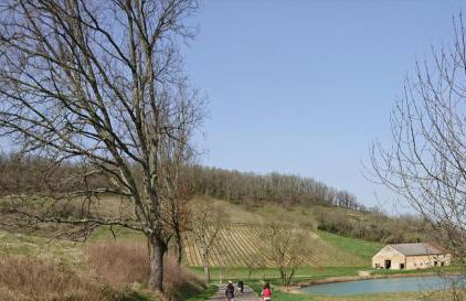 Comfortable Quiet House in the countryside Porte-du-Quercy for 8 people - Foto 16