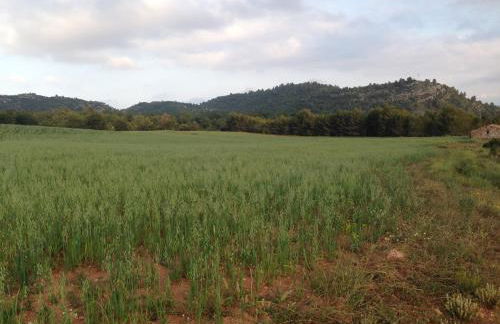 Mas de Leon - Foto 137