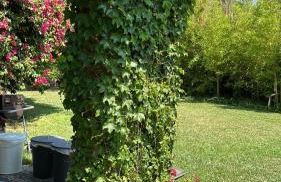 Villa de cine piscina barbacoa vista mar - Photo 43