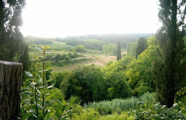 Podere Castagno - Photo 14