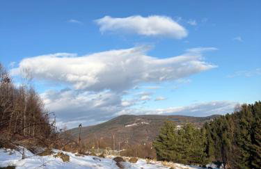 Dom w górach Zacisze lasu - Foto 16