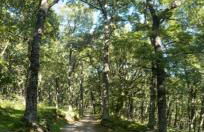 Casavieja Rural - Foto 21