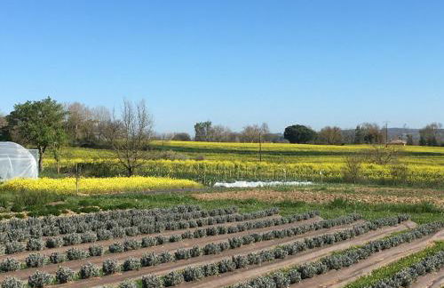 DOMAINE D'ELUSA - Photo 59