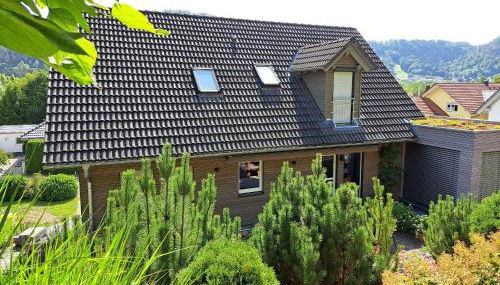 Ferienwohnung Irslenbach - Foto 5, Garden view