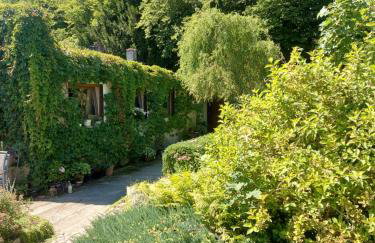 Ogród Pałacowy - Foto 1