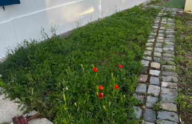 La Maison Téranga au Bourg de Villenave - Foto 14