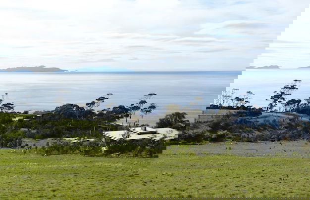 Dragonfly Lodge - Foto 18