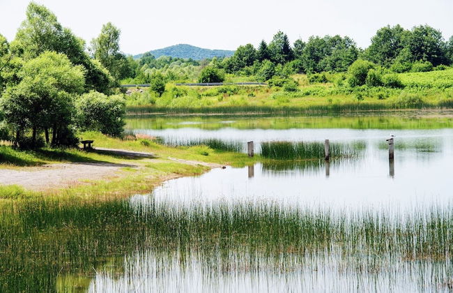 Quiet Country Side Cottage with Private Garden & WiFi near Nature Park Velebit - Foto 13