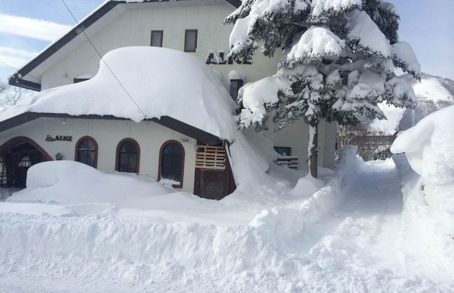 Rental Lodge WHITE RABBIT Madarao kogen Cottage ALICE - Photo 10