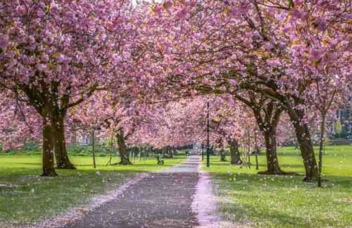 Central 2-Bed Apartment with Balcony & Parking - Foto 36