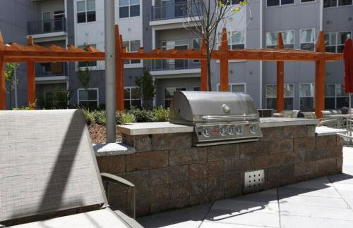 Cambridge Alewife 1BR w wd gym roof nr T BOS-772 - Foto 22