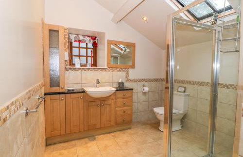 Craig Y Deryn - Foto 17