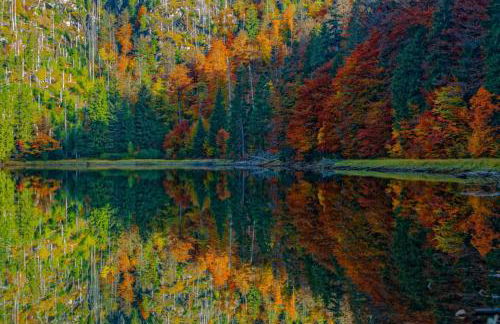 Landhaus Bernecker, Bay.W. - Foto 13