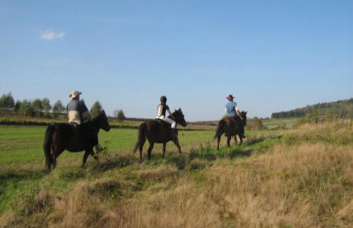 Świerkowe Rancho - Foto 6
